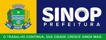 Realização 1