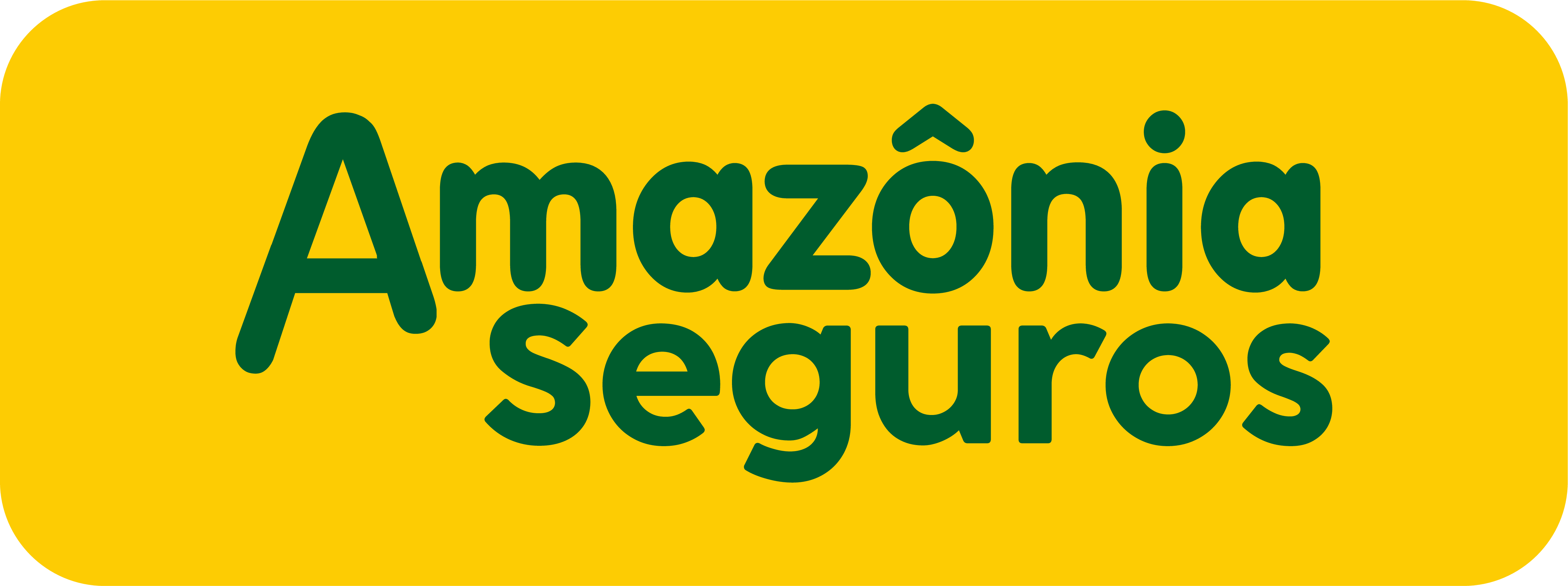 Amazônia Seguros